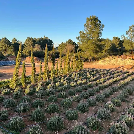 Amasana - Your Sanctuary Of Peace In Ibiza - 6 Br Villa Santa Eulária des Riu