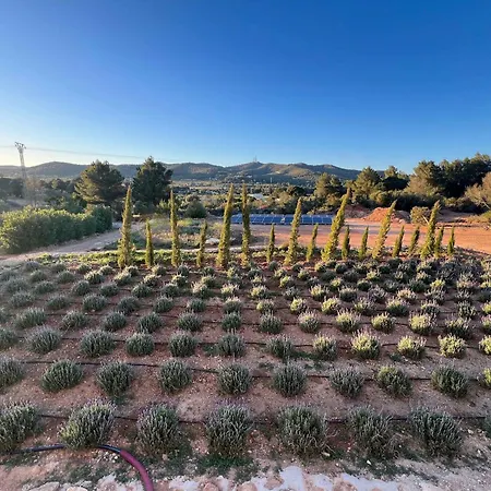 Villa Amasana - Your Sanctuary Of Peace In Ibiza - 6 Br *