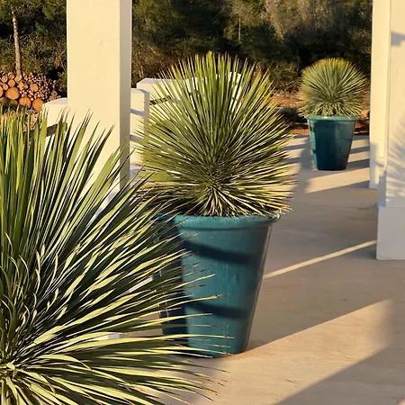 Amasana - Your Sanctuary Of Peace In Ibiza - 6 Br Villa