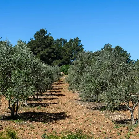 Amasana - Your Sanctuary Of Peace In Ibiza - 6 Br *