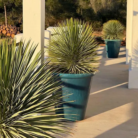 Amasana - Your Sanctuary Of Peace In Ibiza - 6 Br فيلة