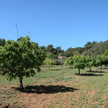 Amasana - Your Sanctuary Of Peace In Ibiza - 6 Br * سانتا أيُلاريا ذيس ريو