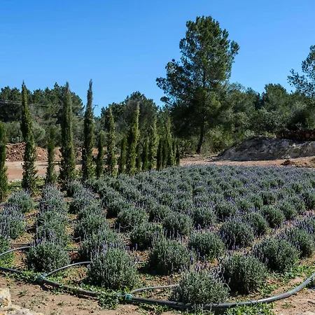 Βίλα Amasana - Your Sanctuary Of Peace In Ibiza - 6 Br Santa Eulària des Riu