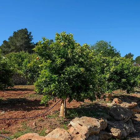 Amasana - Your Sanctuary Of Peace In Ibiza - 6 Br 别墅 *