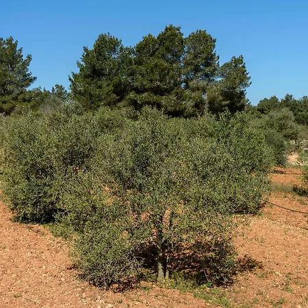 Amasana - Your Sanctuary Of Peace In Ibiza - 6 Br * سانتا أيُلاريا ذيس ريو