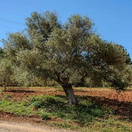 Βίλα Amasana - Your Sanctuary Of Peace In Ibiza - 6 Br Santa Eulària des Riu