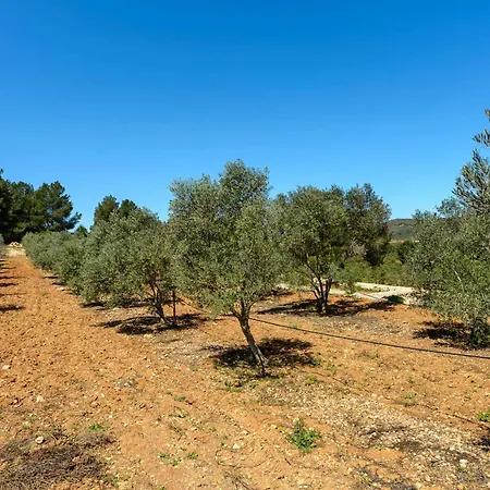 别墅 Amasana - Your Sanctuary Of Peace In Ibiza - 6 Br 圣埃乌拉利亚