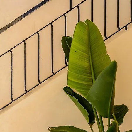 别墅 Amasana - Your Sanctuary Of Peace In Ibiza - 6 Br